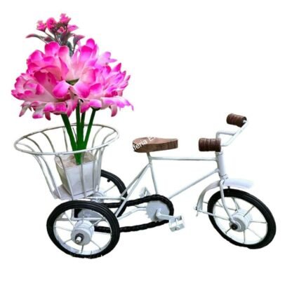 Home Decor Item Wooden Wrought Iron Cycle Rickshaw Toy For Kids Flower Basket Holder