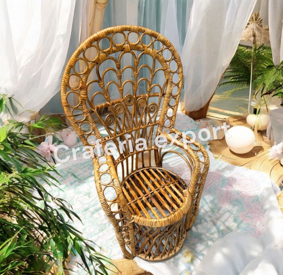 Rattan Bamboo Cane Peacock Photoshot Baby Chairs | Newborn Photography Chairs - Image 4