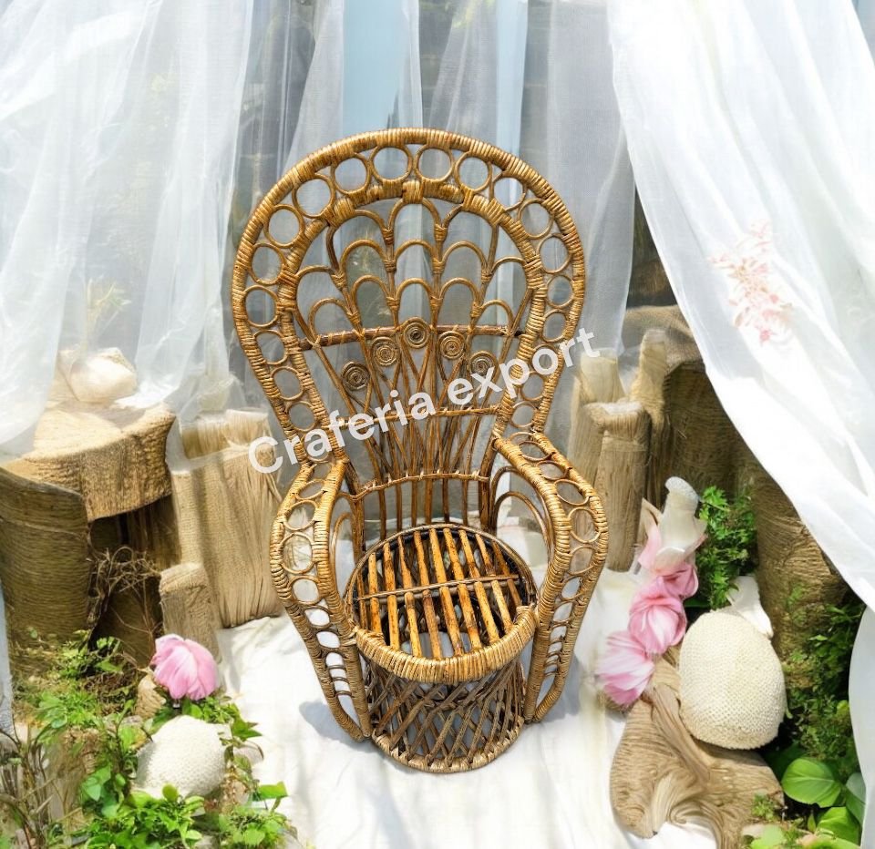Rattan Bamboo Cane Peacock Photoshot Baby Chairs | Newborn Photography Chairs