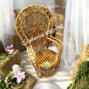 Rattan Bamboo Cane Peacock Photoshot Baby Chairs | Newborn Photography Chairs