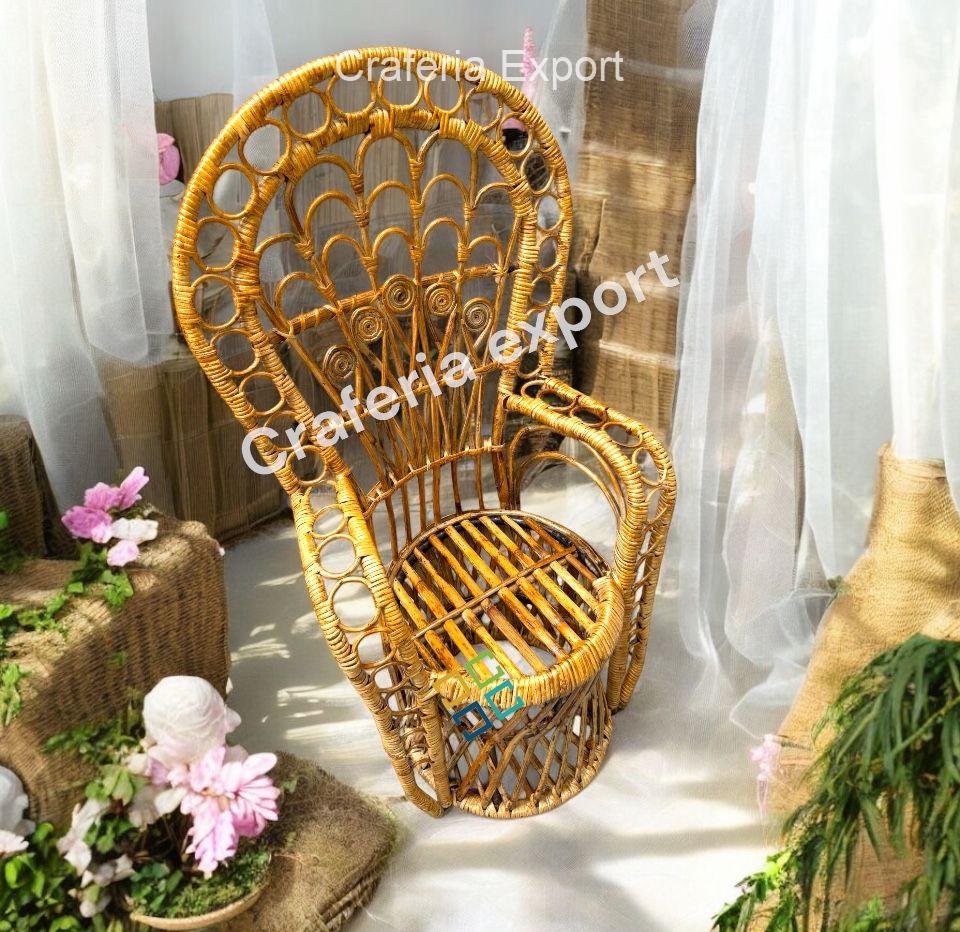 Rattan Bamboo Cane Peacock Photoshot Baby Chairs | Newborn Photography Chairs