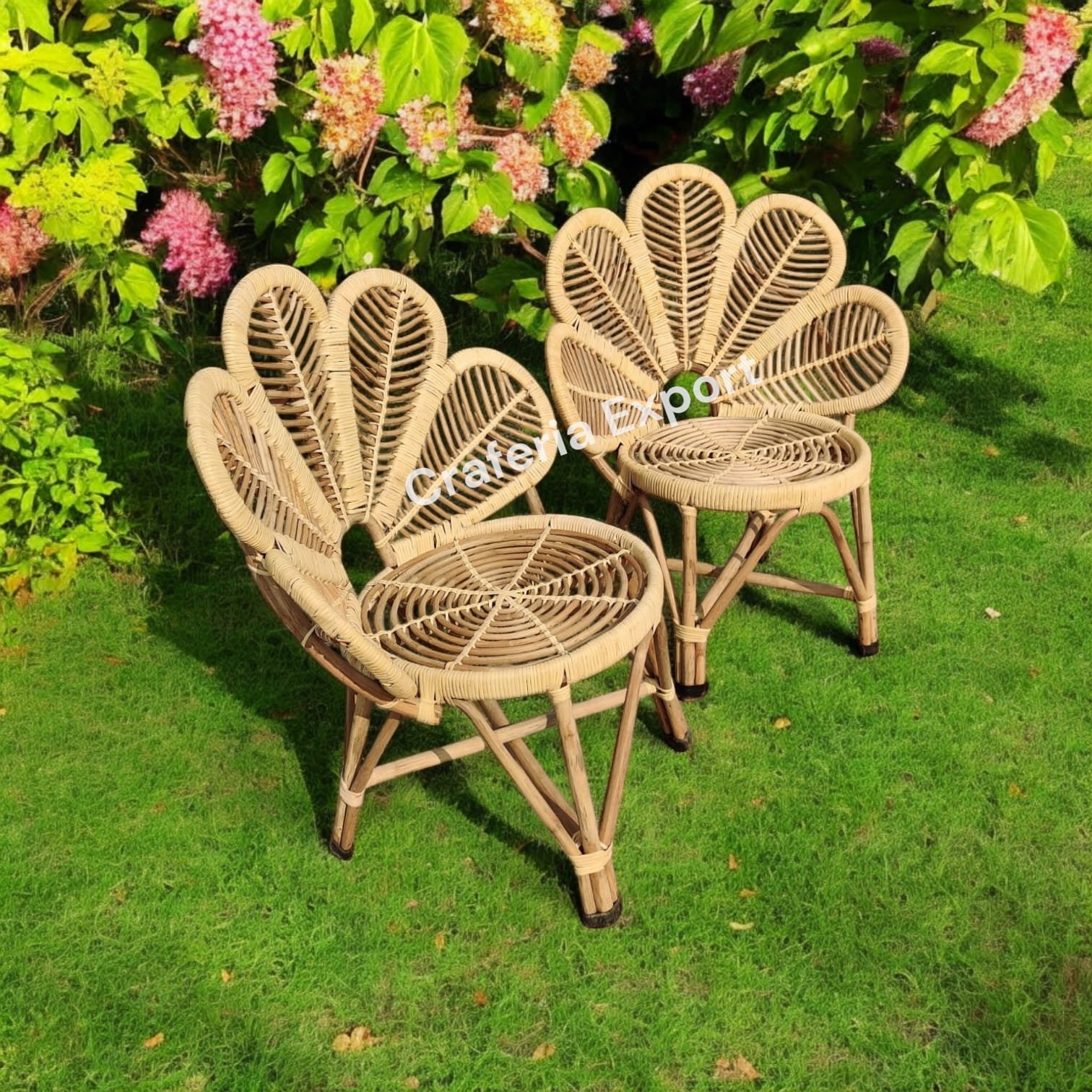 Cane Flower Chairs For Restaurant Event Cafe And Birthday Party Use